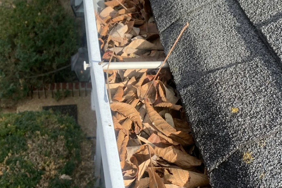 Gutter Cleaning Carnegie