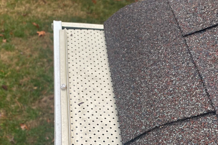 Gutter Cleaning Carnegie