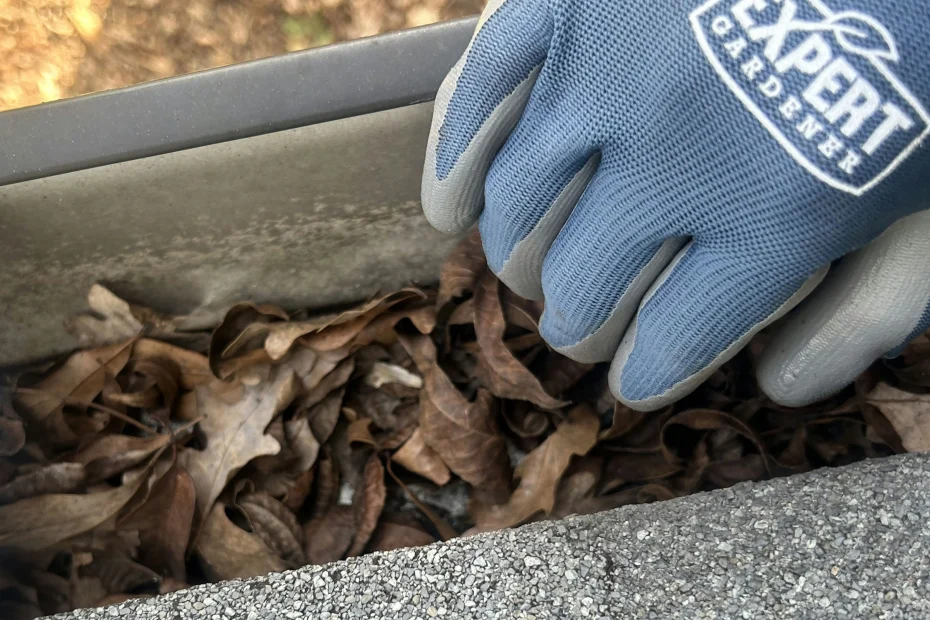 Carnegie Gutter Cleaning